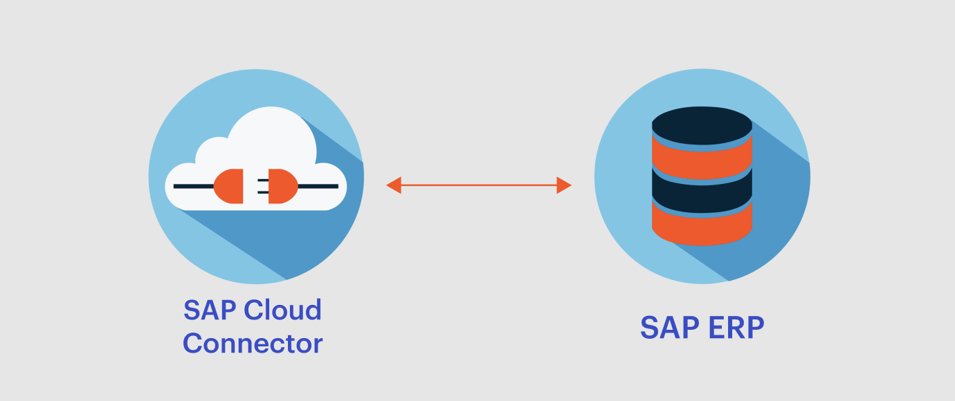 SAP Cloud to ERP